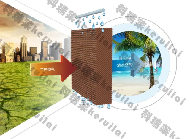 钱柜qg777环保？？？盏